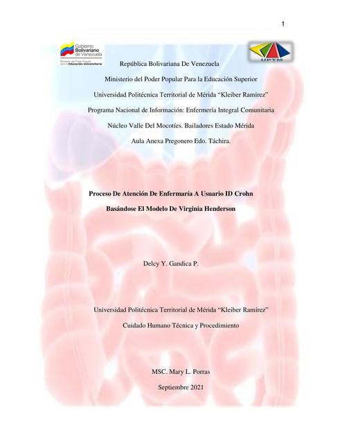 Proceso de Atención de Enfermería de Crohn