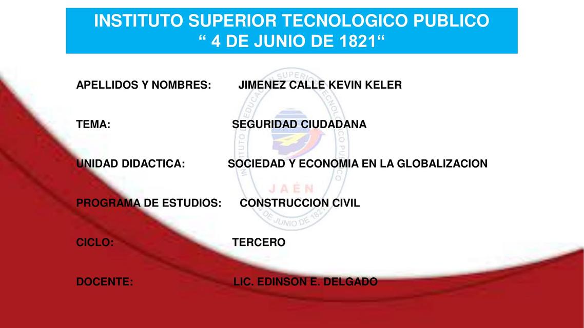 Mapa Conceptual de Seguridad Ciudadana