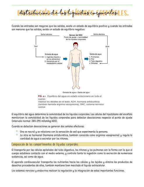 Distribución de los líquidos corporales.  