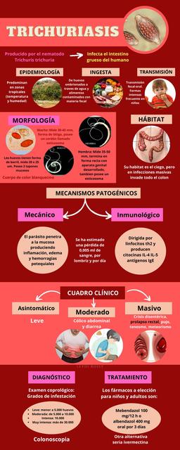 Trichuriasis 