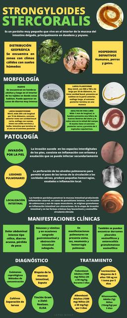 Strongyloides Stercoralis
