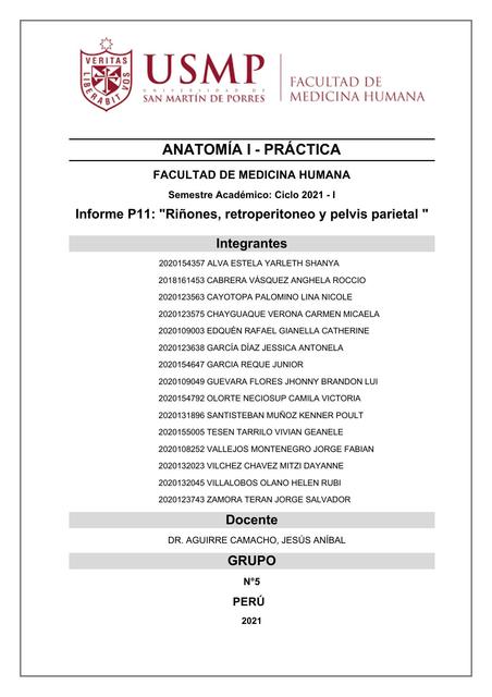 Riñones, Retroperitoneo y Pelvis Parietal 