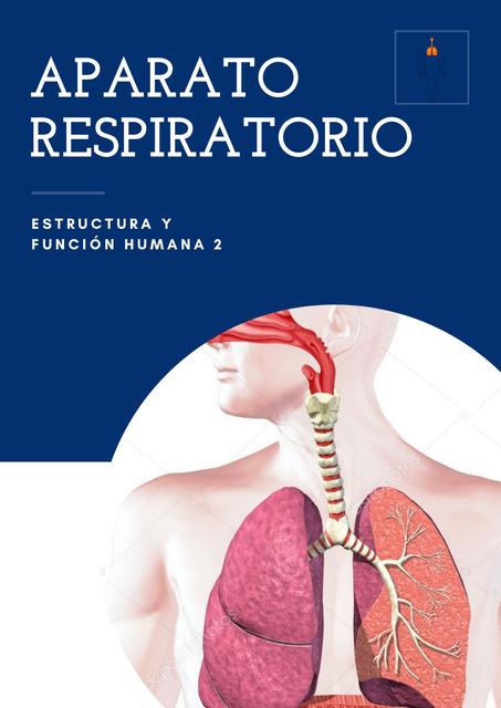 Aparato Respiratorio