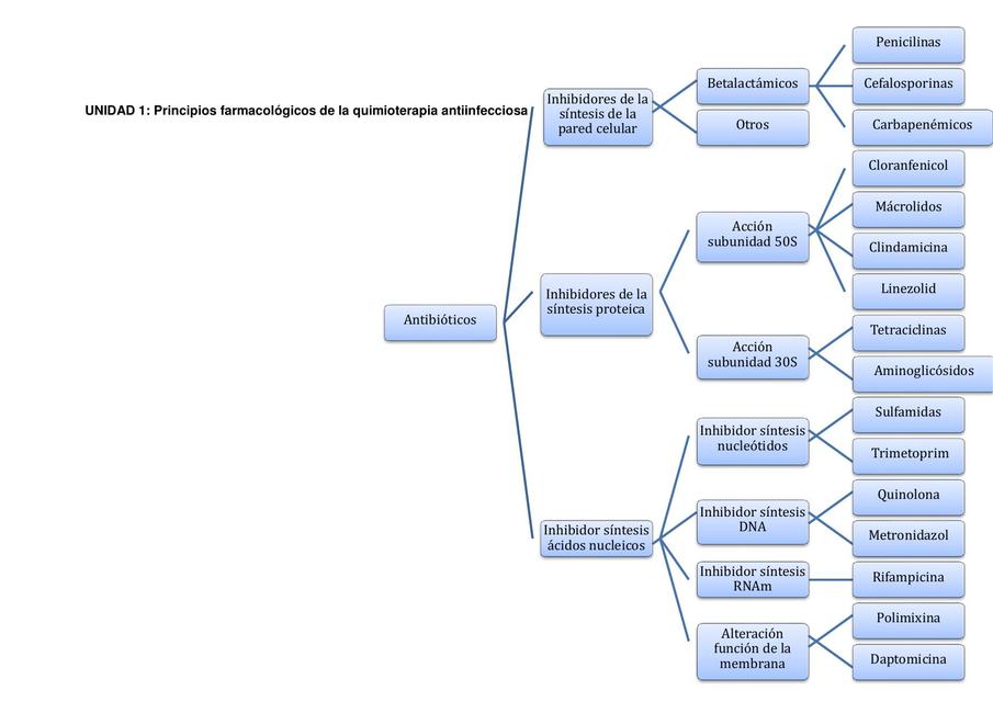 Principios Farmacológicos de la Quimioterapia Antiinfecciosa 