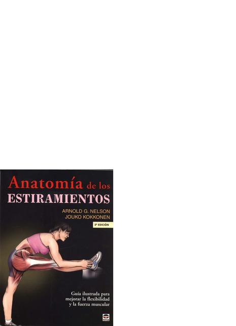 Anatomía de los Estiramientos 