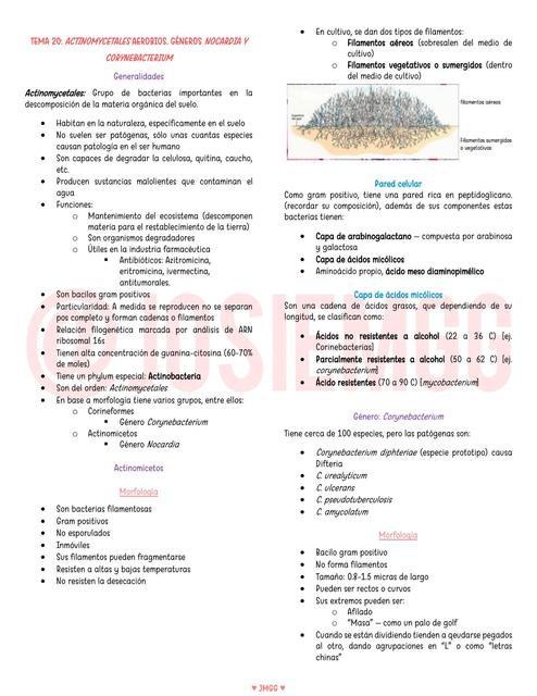 Resumen géneros Nocardia y Corynebacterium