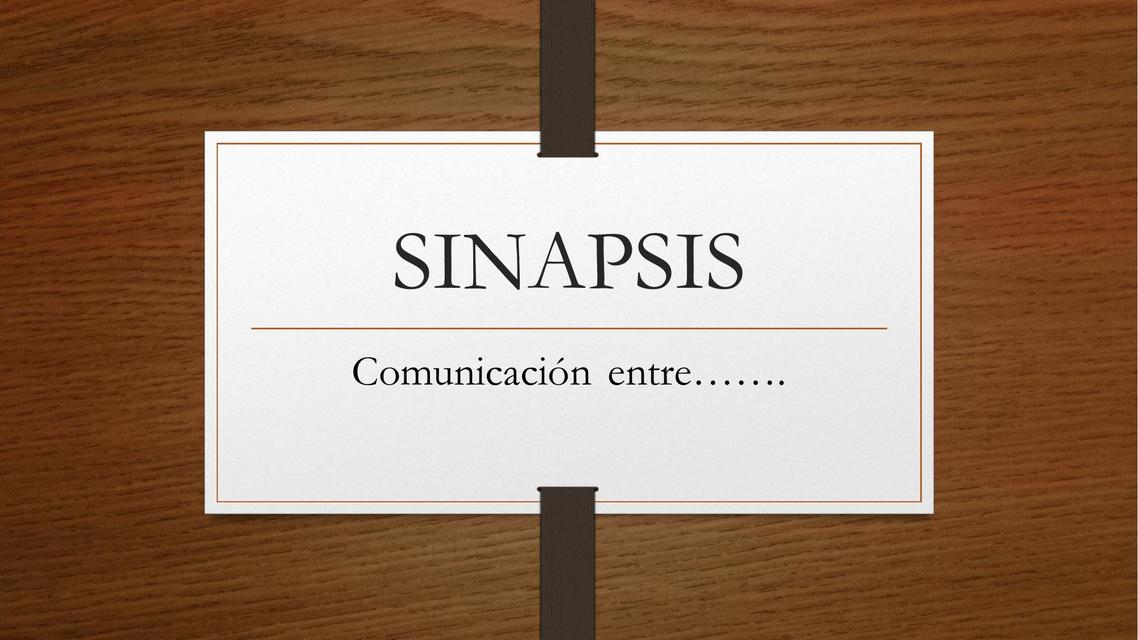 Sinapsis 