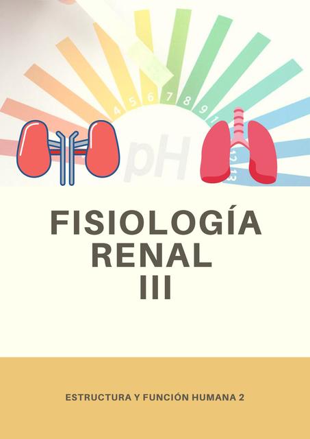 Fisiología Renal III