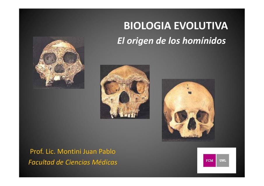 El Origen de los Homínidos 