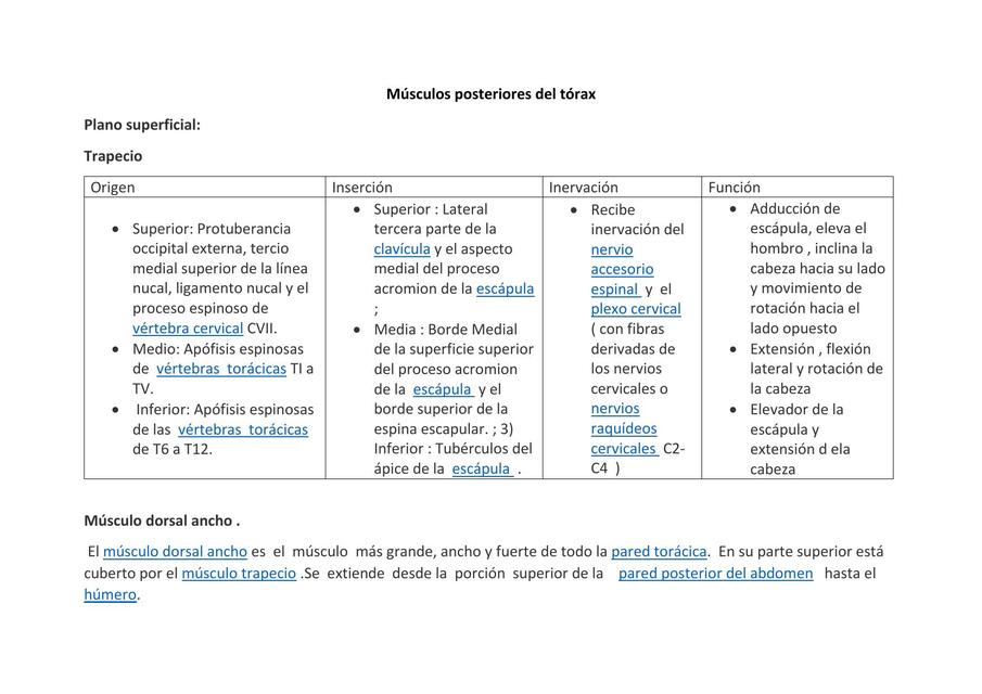 Músculos Posteriores del Tórax