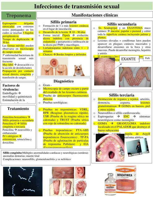 Infecciones de Transmisión Sexual 