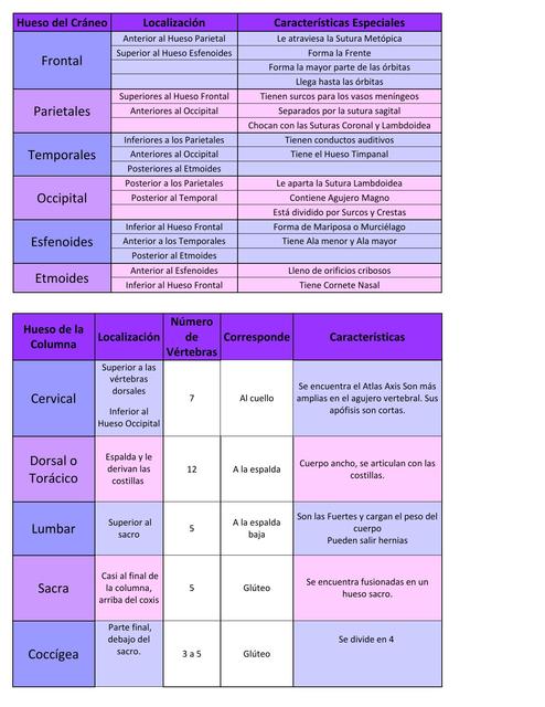 Huesos del Cráneo y de la Columna Vertebral