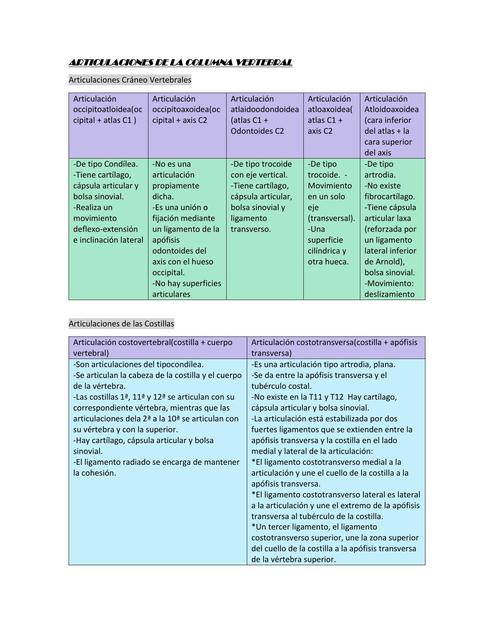 Articulaciones De La Columna Vertebral