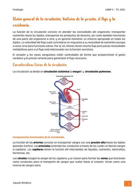 Fisiología Cardiovascular