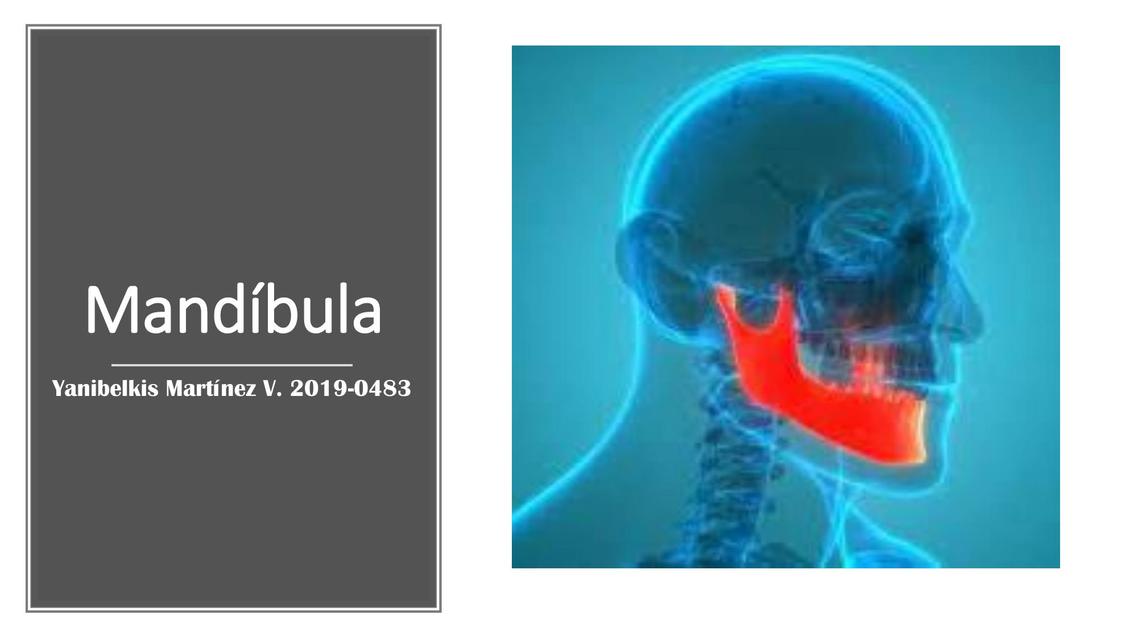 Mandíbula 