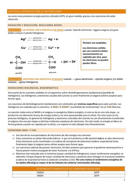 Introducción al Metabolismo