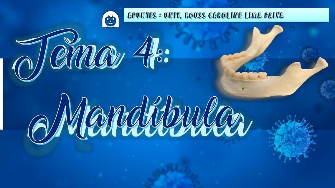 Mandíbula