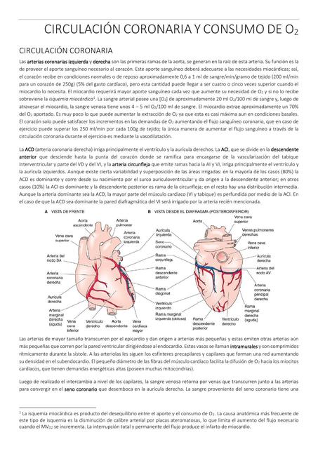 Circulación Coronaria y Consumo de Oxígeno