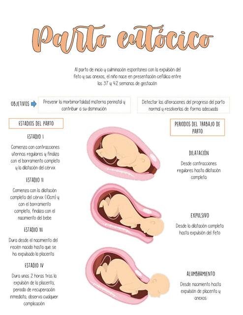 Parto Eut Cico Carolina Aldana Udocz