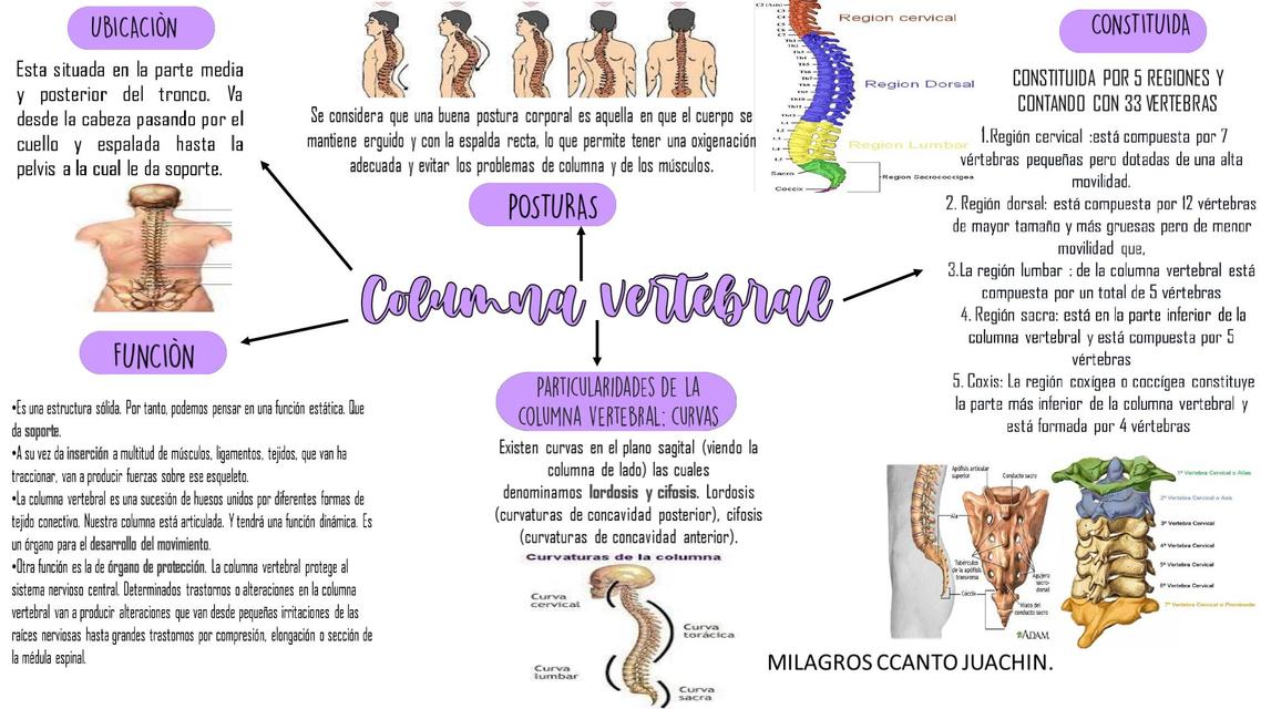 Columna vertebral 