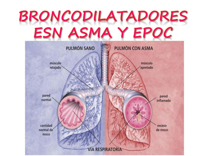 Broncodilatador Asma y EPOC