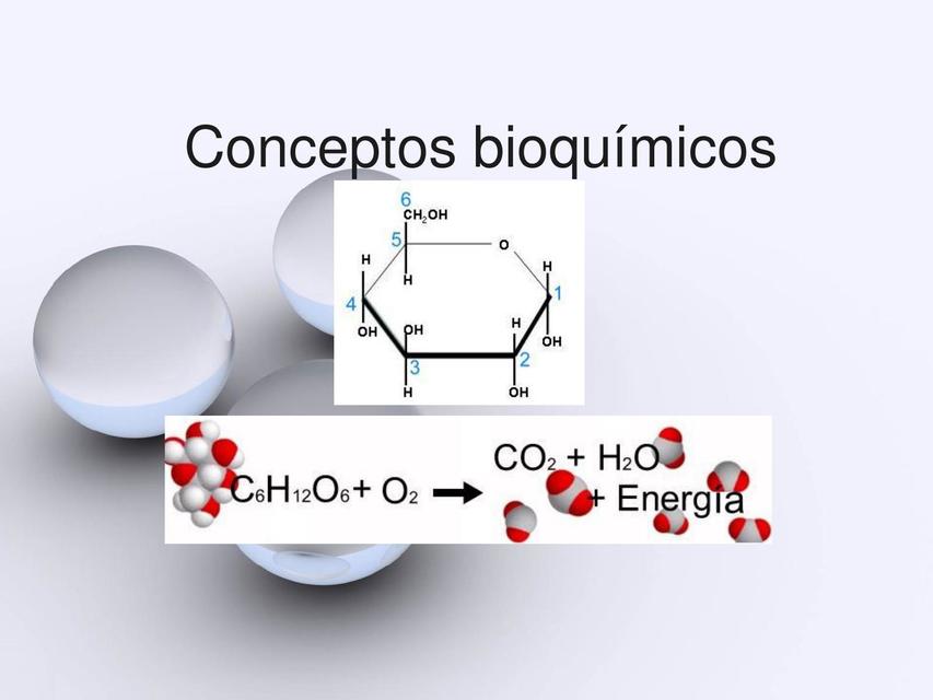 Conceptos Bioquímicos 