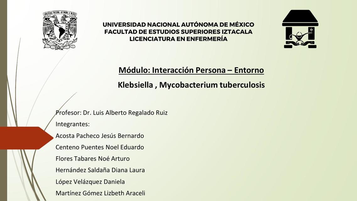 Mycobacterium Tuberculosis 