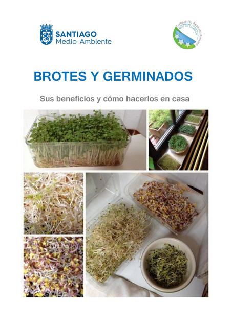 Germinados y Brotes