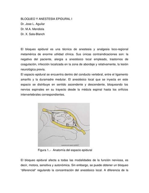 Bloqueo y anestesia epidural 