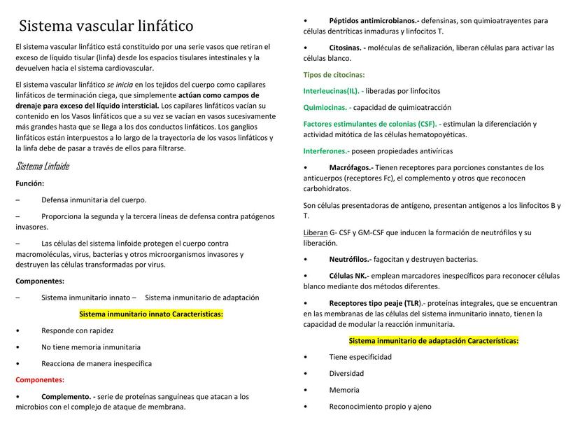 Sistema vascular linfático 