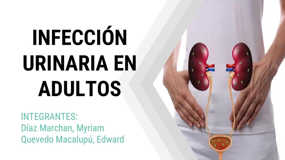 Infección Urinaria en Adultos 