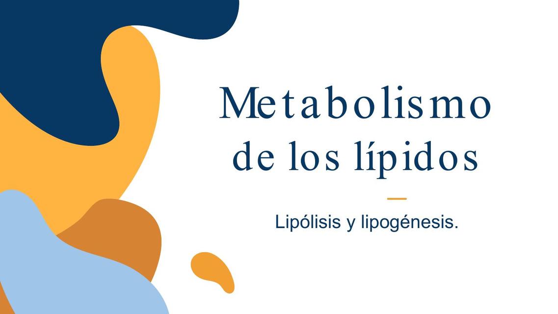 Metabolismo de Lípidos con Ejemplo de Enfermedades