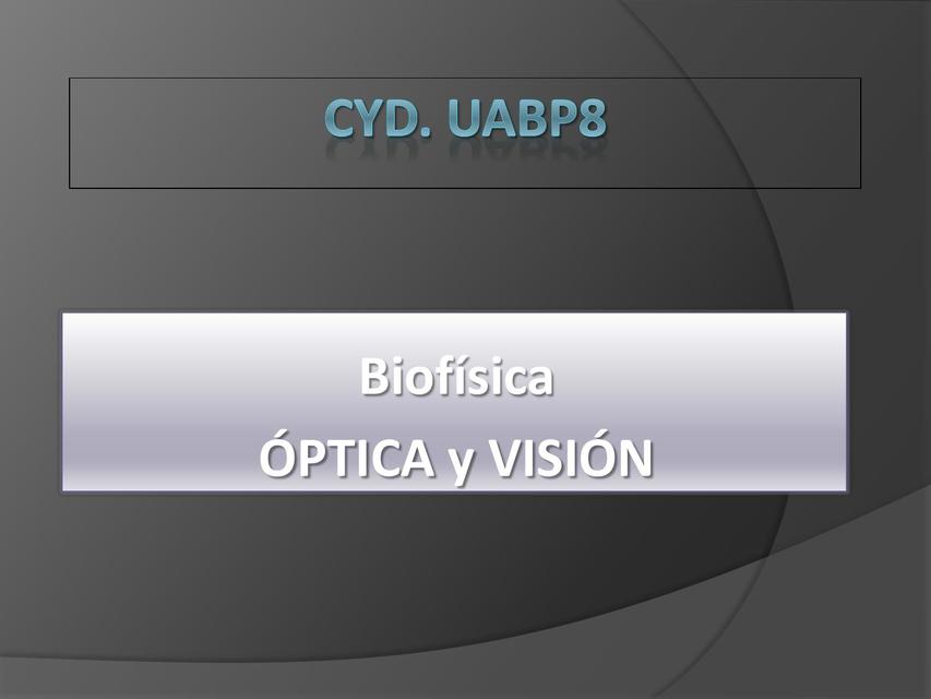 Óptica y Visión