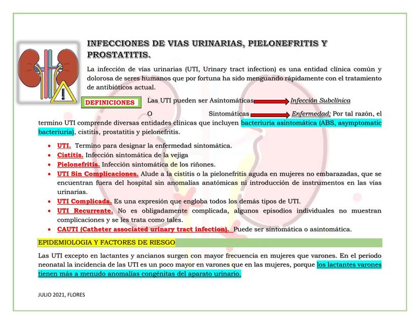 Infecciones de Vías Urinarias, Pielonefritis y Prostatitis 