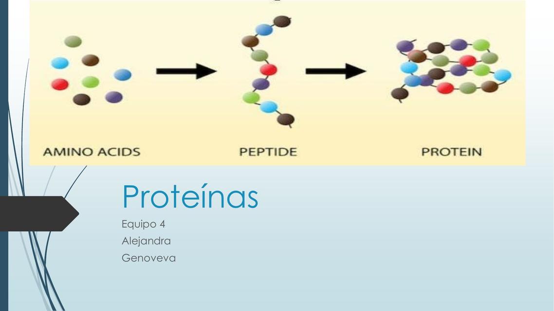 Proteínas