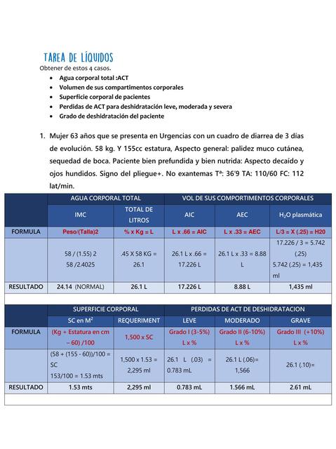 Tarea de Líquidos