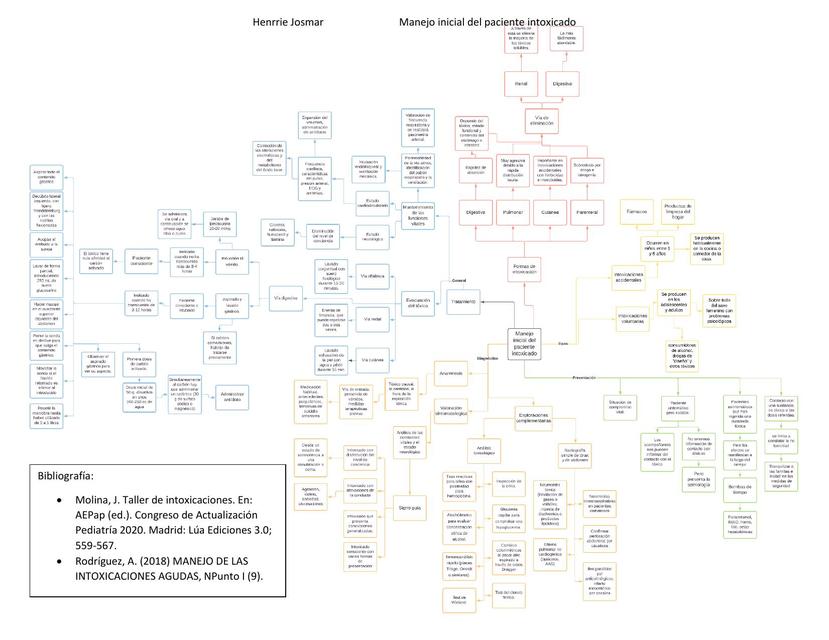 Manejo del Paciente Intoxicado