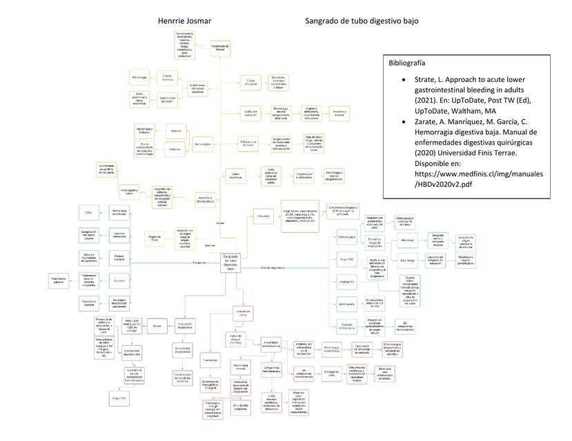 Sangrado de Tubo Digestivo Bajo 