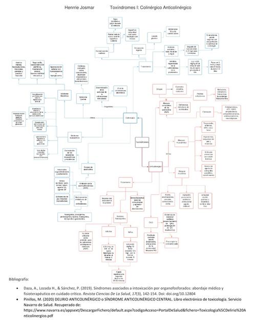 Toxindromes (Anticolinérgico y Colinérgico)