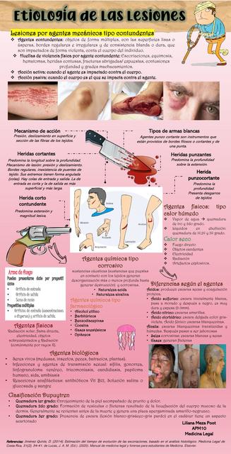 Etiología de las Lesiones