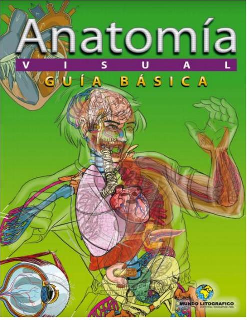 Anatomía Visual 