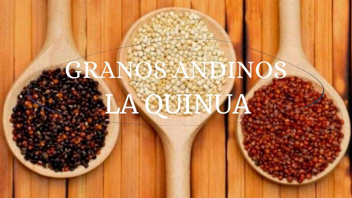 Granos Andinos | Rousmery Hidalgo | uDocz