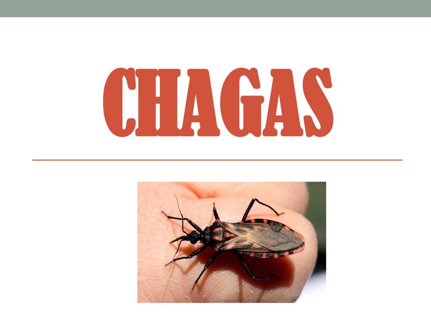 Chagas 