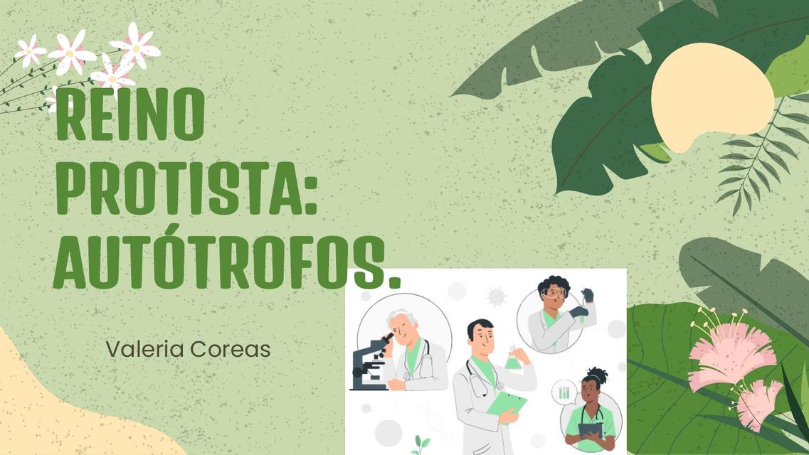 Reino Protista: Autótrofos 