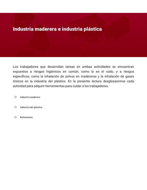 Riesgos en Industria Maderera e Industria Plástica