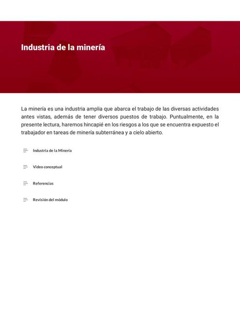 Riesgos en la Industria de la Minería