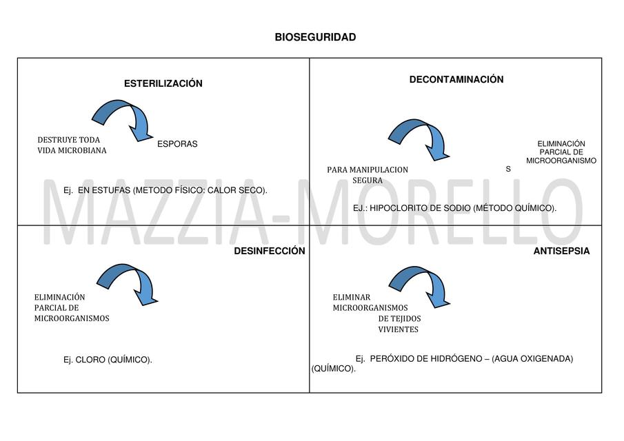 Bioseguridad