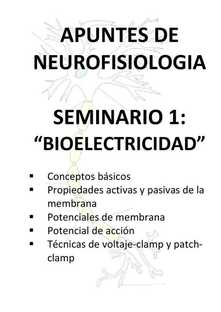 Bioelectricidad