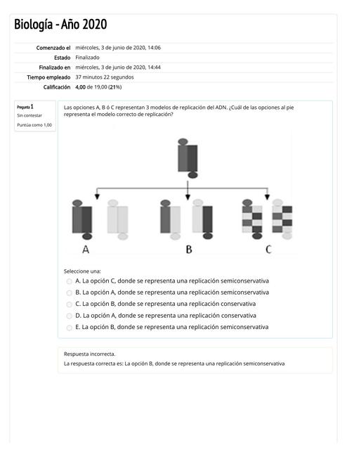 Autoevaluación de ADN