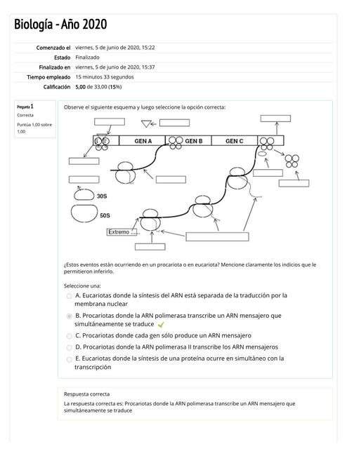 Autoevaluación de Genética y ADN